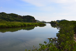 大浦川の景色