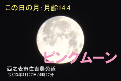 ピンクムーン Pink Moon(令和3年4月)