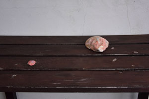竹崎のエビス祭壇の自然石
