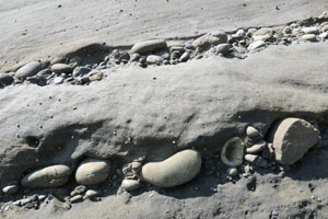犬城海岸の層の間に大小の小石がある複雑な浸食岩