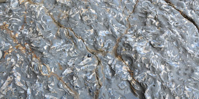 犬城海岸の無数の貝の化石が見られる浸食岩