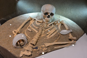 本物の人骨を用いた墓の復元展示