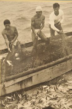 馬毛島の飛び魚漁