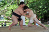 第54回県体熊毛地区大会相撲競技