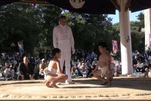 �c�̐포�w��2�����g��