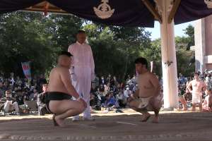 �c�̐���1�����g��