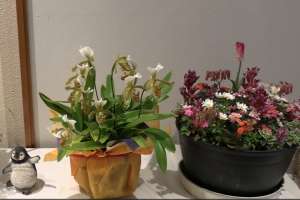 ���A���W��