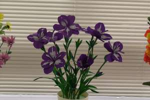 �y�[�p�[�t�����[��i