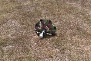 �y�C���[�h����5�̋@��