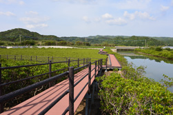 大浦橋方向の景色