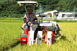超早場米の収穫作業