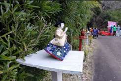 �K�i�̂ЂȐl�`