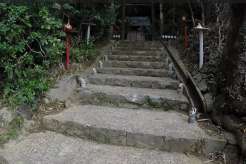 �Q�q���̂ЂȐl�`