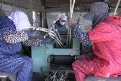 ���т̈���