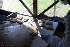 �o����̍���