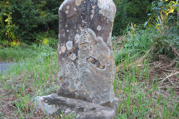 cqaaLO