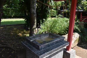 栖林神社手水鉢