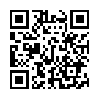 �N���L2024�N�ʎ����i����̓񎟌��R�[�h