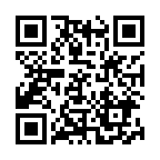 �N�`�i�V2024�N�J�ԕ��i����̓񎟌��R�[�h