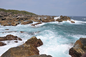 浜脇海岸大小の石や瀬が多くある