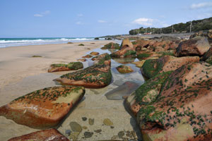 石寺海岸大小の石