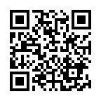 ���q�����̎\��2013�N����̓񎟌��R�[�h