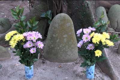 ���Ύ��̔����l