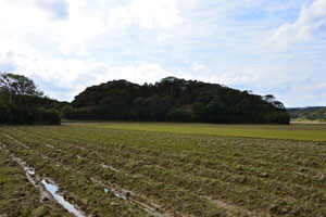 西之町浜田線沿いの水田から撮影した平山神社山