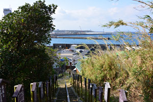 春日山から西之表港を撮影した風景写真