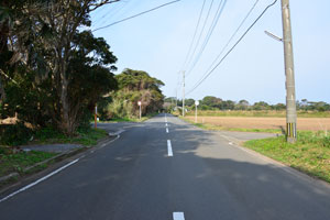 JԐOR