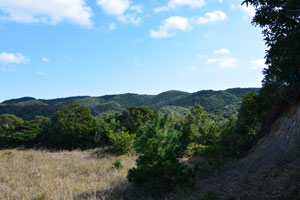古田住吉線沿いから四坊山一帯を撮影した風景写真