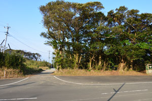 PqR