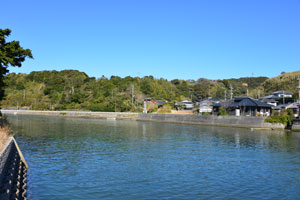 甲女川に架かる高浜橋からずく山一帯を撮影した風景写真