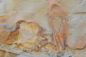 犬城海岸の自然が描く複雑模様の浸食岩