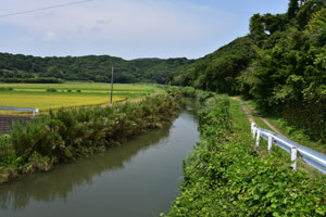 現和西俣大正橋の上から湊川の上流側を撮影した湊川