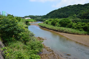 県道76号線沿いの甲女川写真