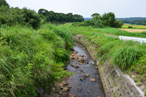 上中田橋から下流側を撮影した苦浜川の風景写真