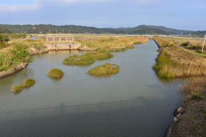 月見橋から撮影した宮瀬川の分流