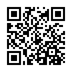 �X�C�Z��2014�N�J�ԕ��i����̓񎟌��R�[�h