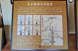羽生慎翁の花絵図