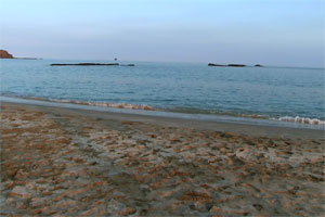 ウミガメを放流する竹崎海岸