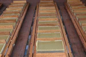 ����������������