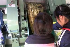 ��肩��(�o�K�X)