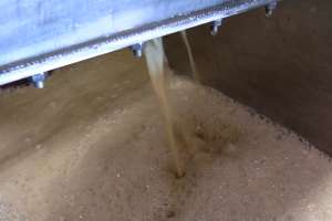 ����ꂽ���ڂ�`