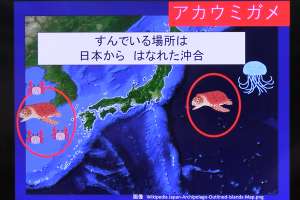E~K̐ꏊ