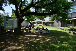 学校の中庭での昼食と休憩