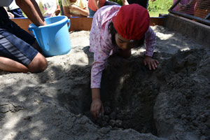 ふ化場でウミガメの卵を砂の中に戻している児童
