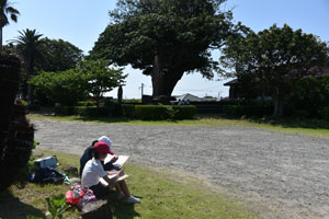 学校正門付近にあるアコウの大木周辺にある記念碑などを描く二人の児童