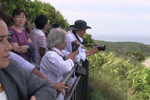 喜志鹿崎灯台からイプシロンロケットの打ち上げを見る人々