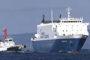 ro-ro�ݕ��D�̓��`